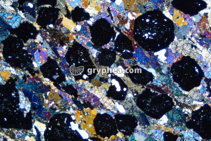 Eclogite LPA x6,3 - gryphea.org